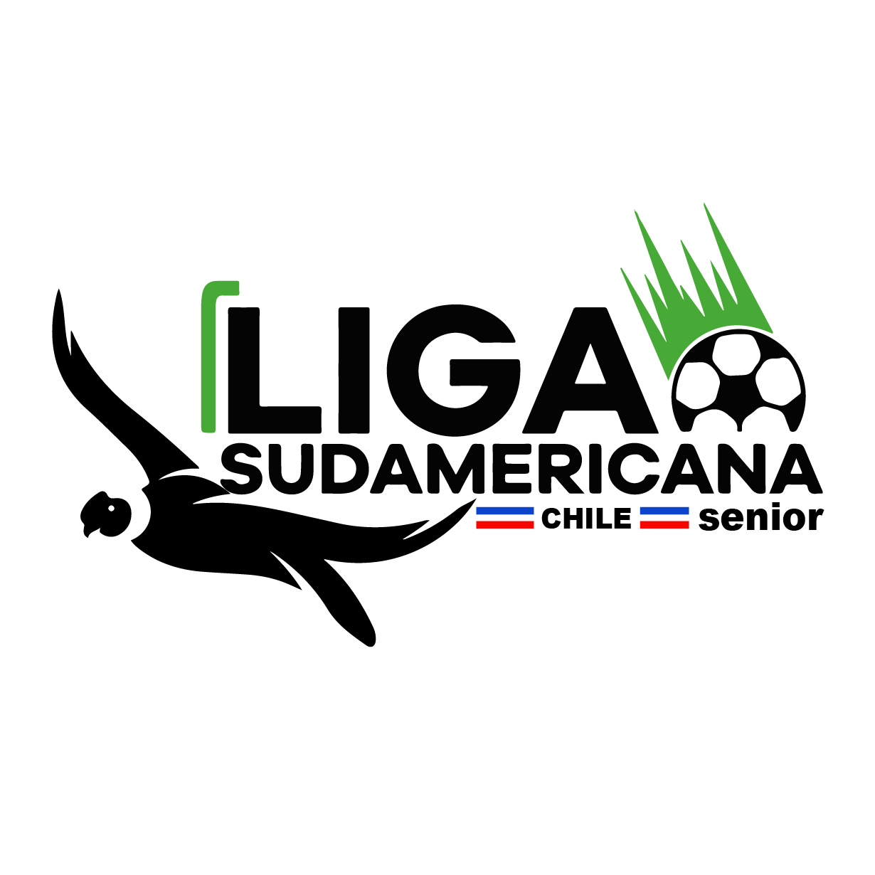 Liga Sudamericana Senior Chile